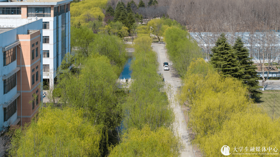 春日花布会来啦