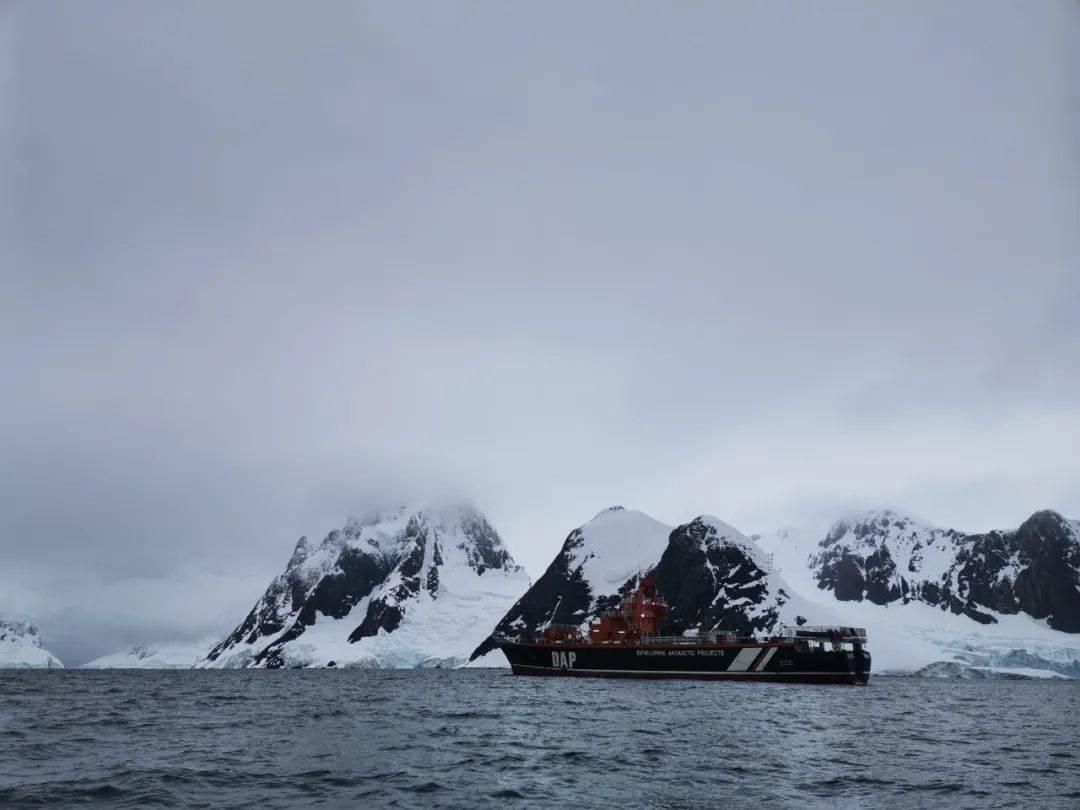 刘鸿伟_吴旭东_采样