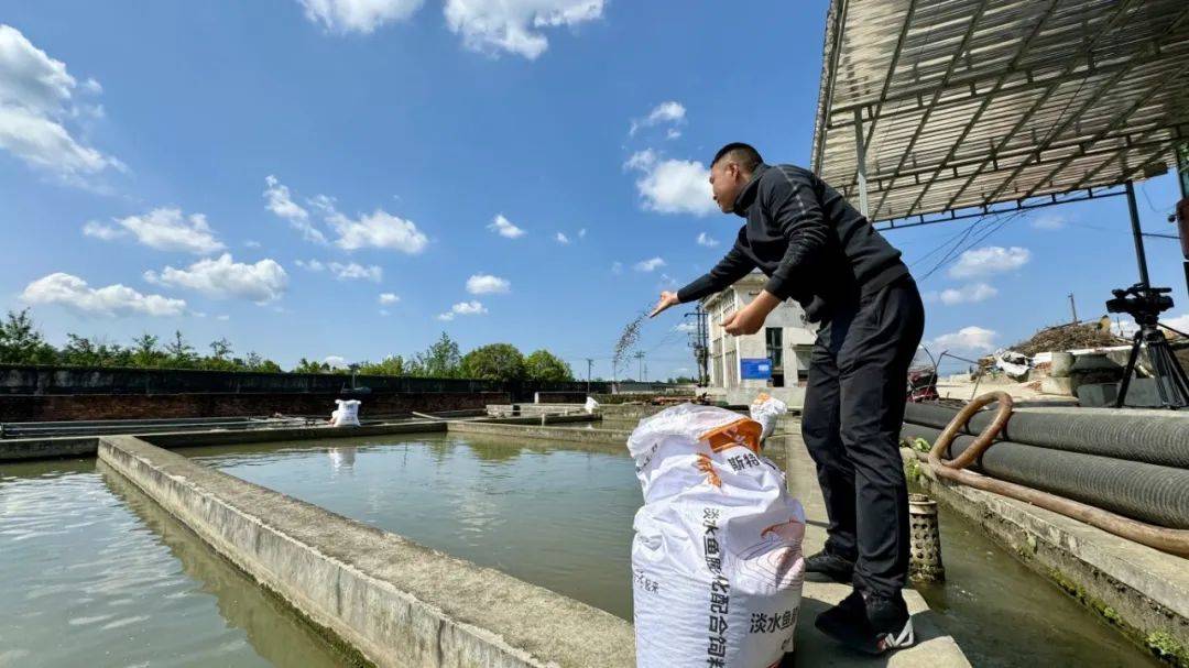 冷水鱼养殖蓬勃发展乡村振兴再添新引擎