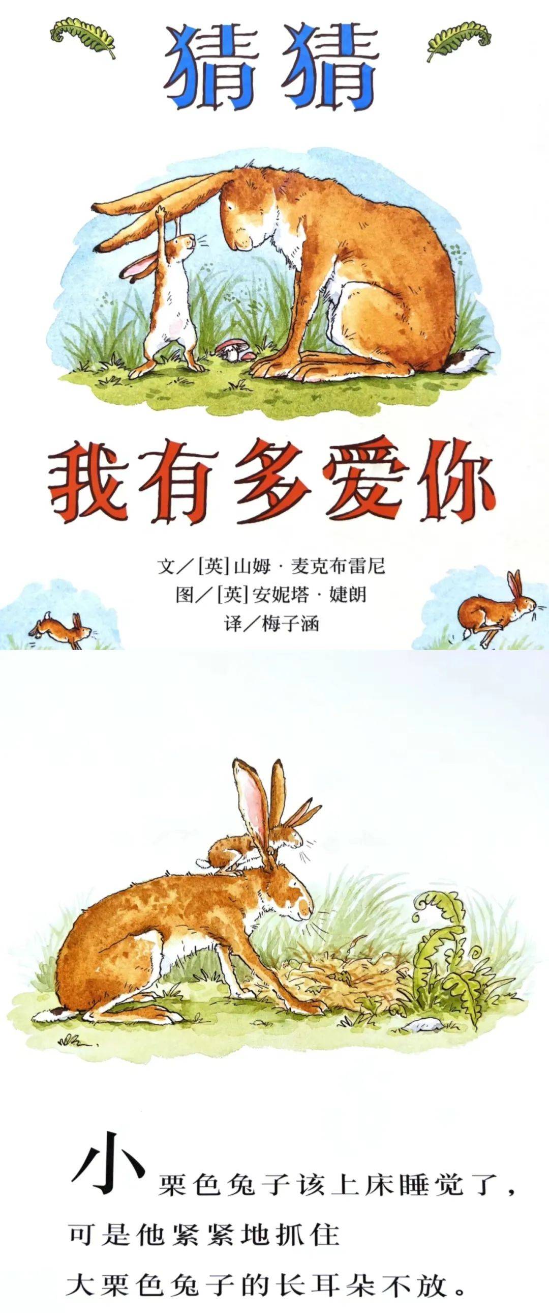 睡眠小精灵|第17期故事——《猜猜我有多爱你》