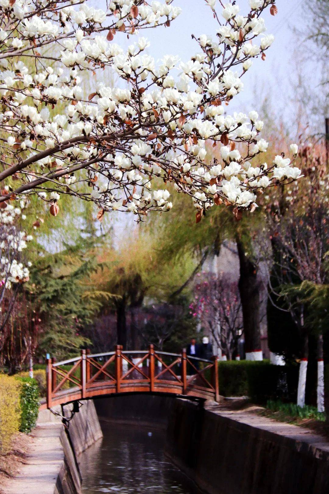 6464646464我～在～临洮~想～开～了～64646464