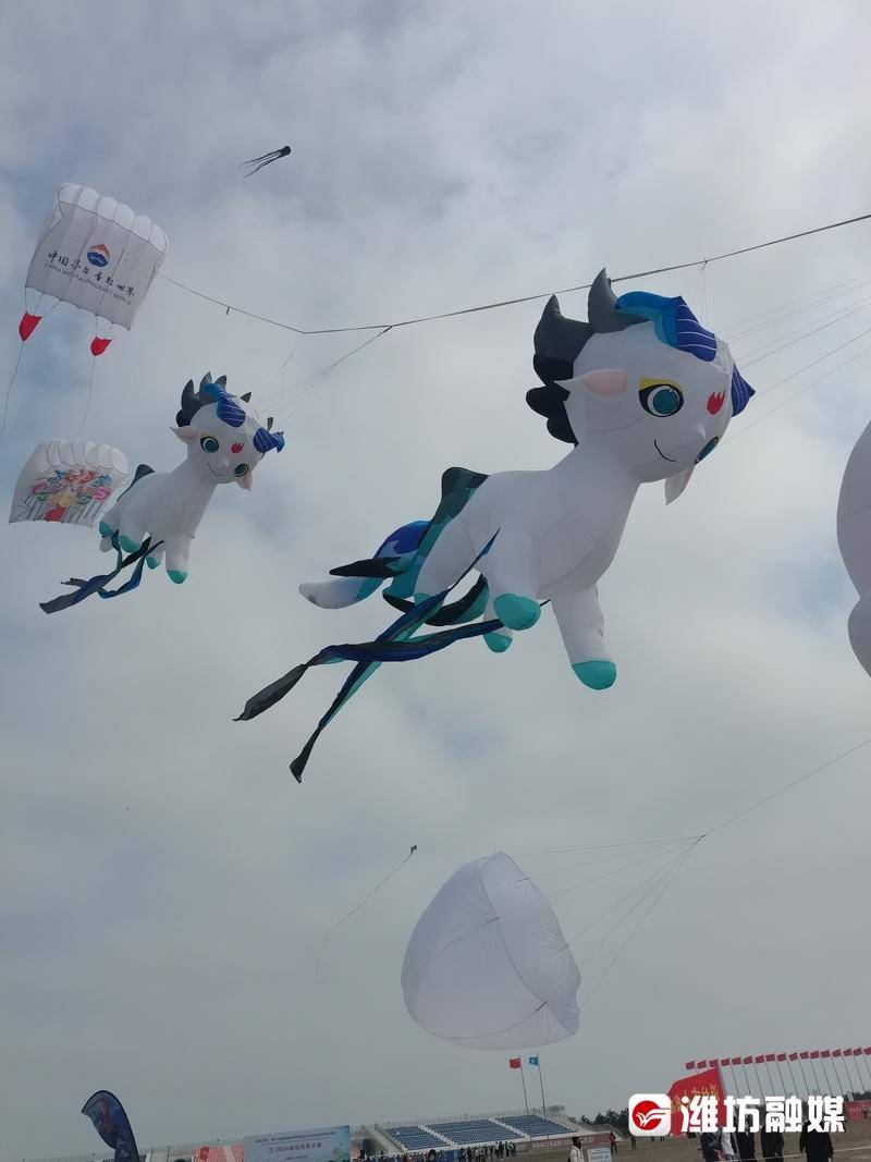 更好潍坊潍坊风筝大赛开赛千余只风筝上演空中盛宴