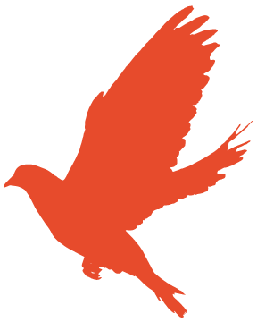 全民国家安全教育日丨国家安全人人有责