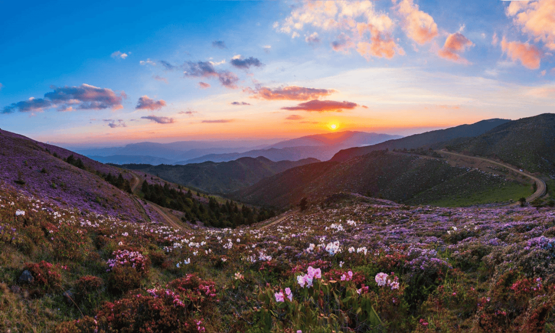 【美丽四川】走进大凉山——金阳县