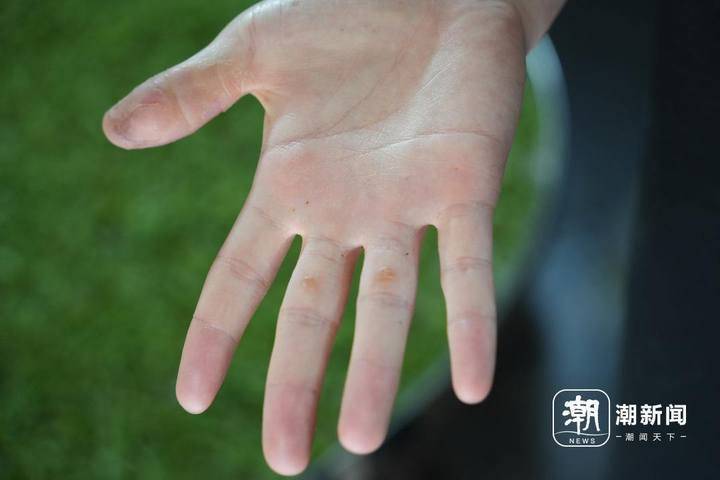 王艺_母亲_茶园