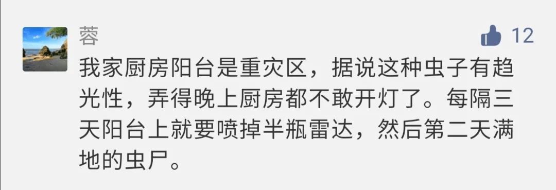 别碰很臭福建已出现一见到就是14颗