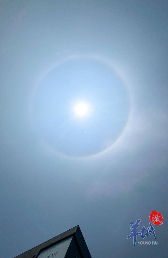 抬头见喜广深同时出现日晕