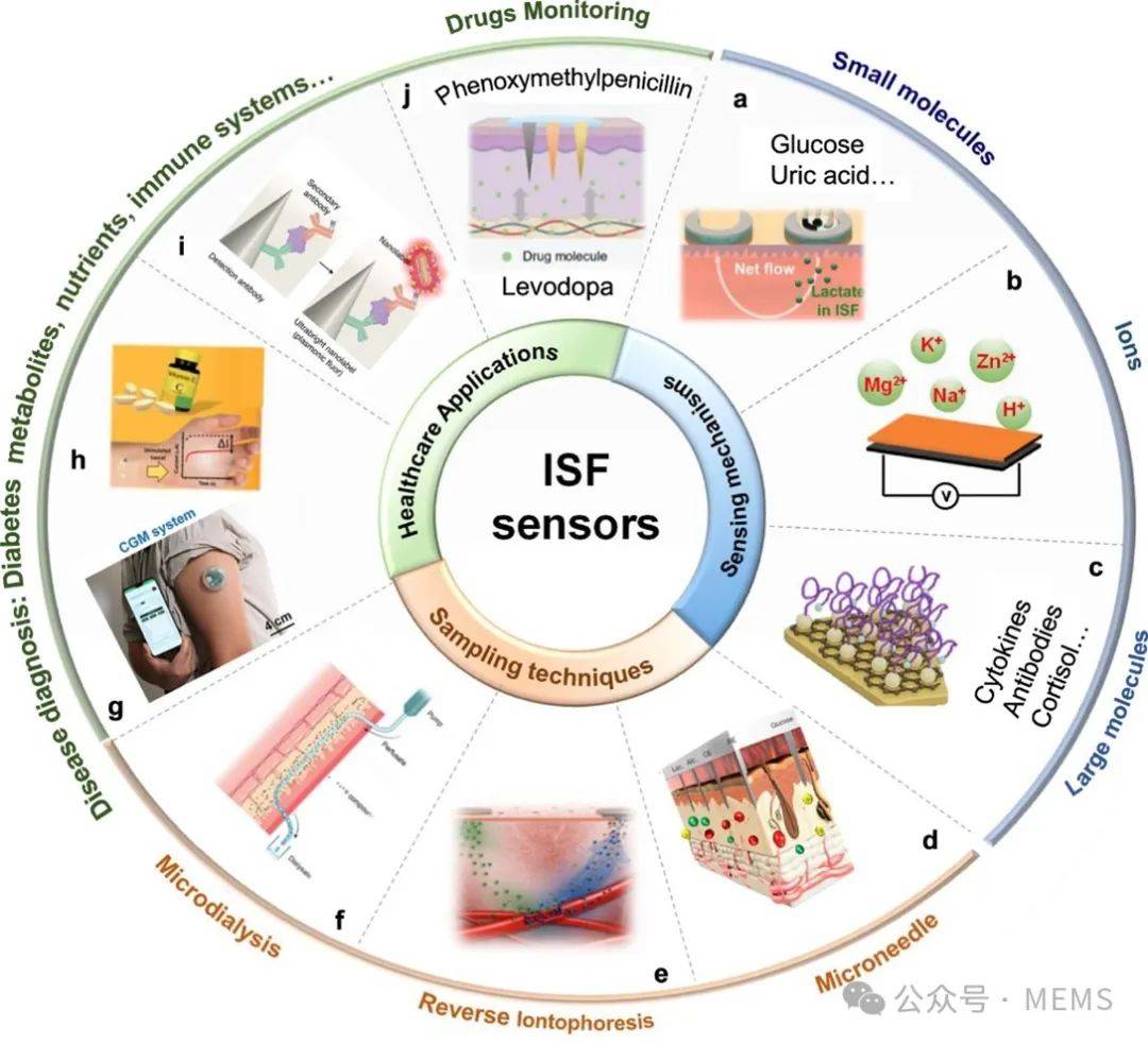 综述基于间质液的可穿戴生物传感器研究和应用进展