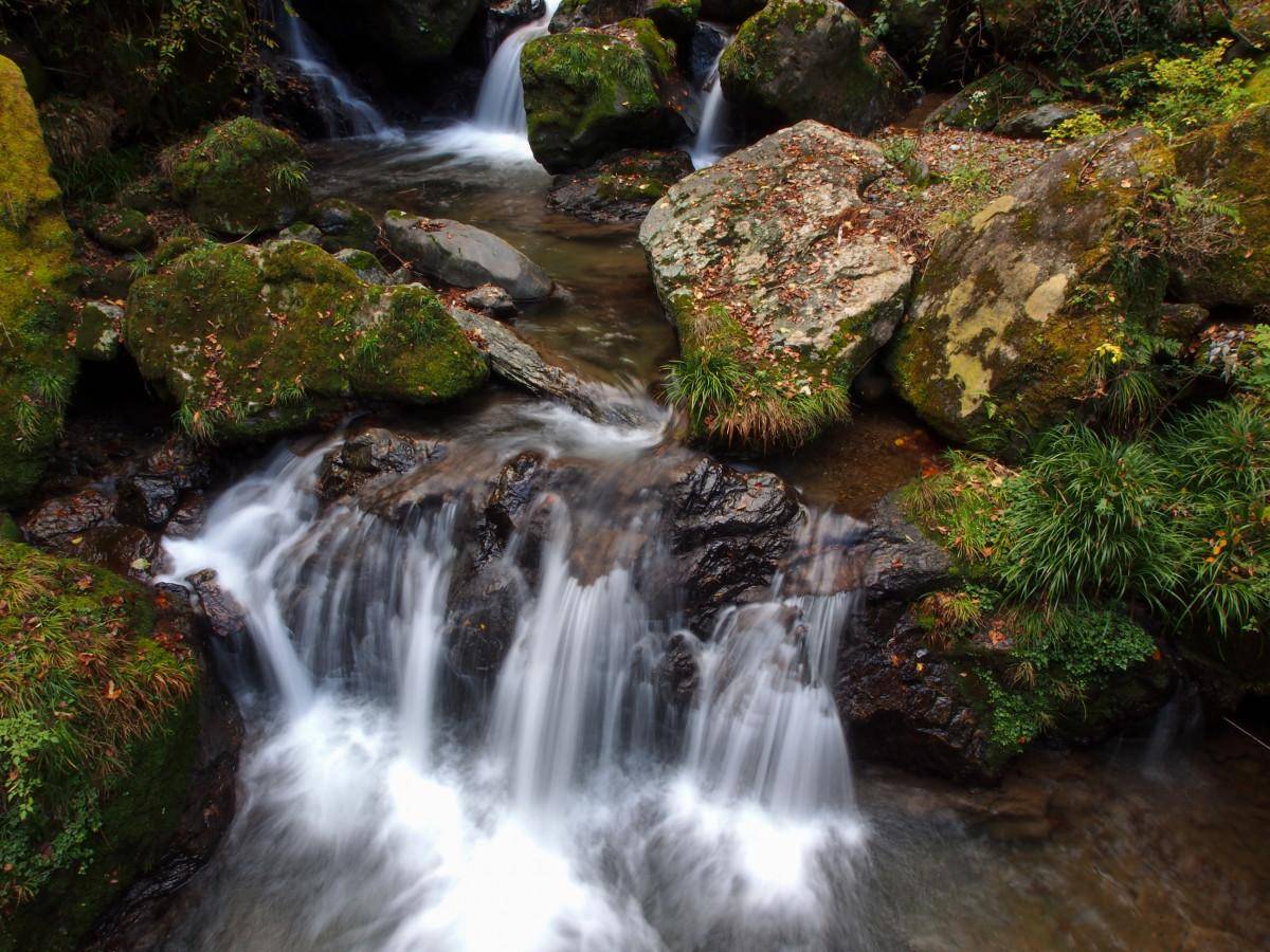 有山有水方风景 山静水动构成风景灵与肉