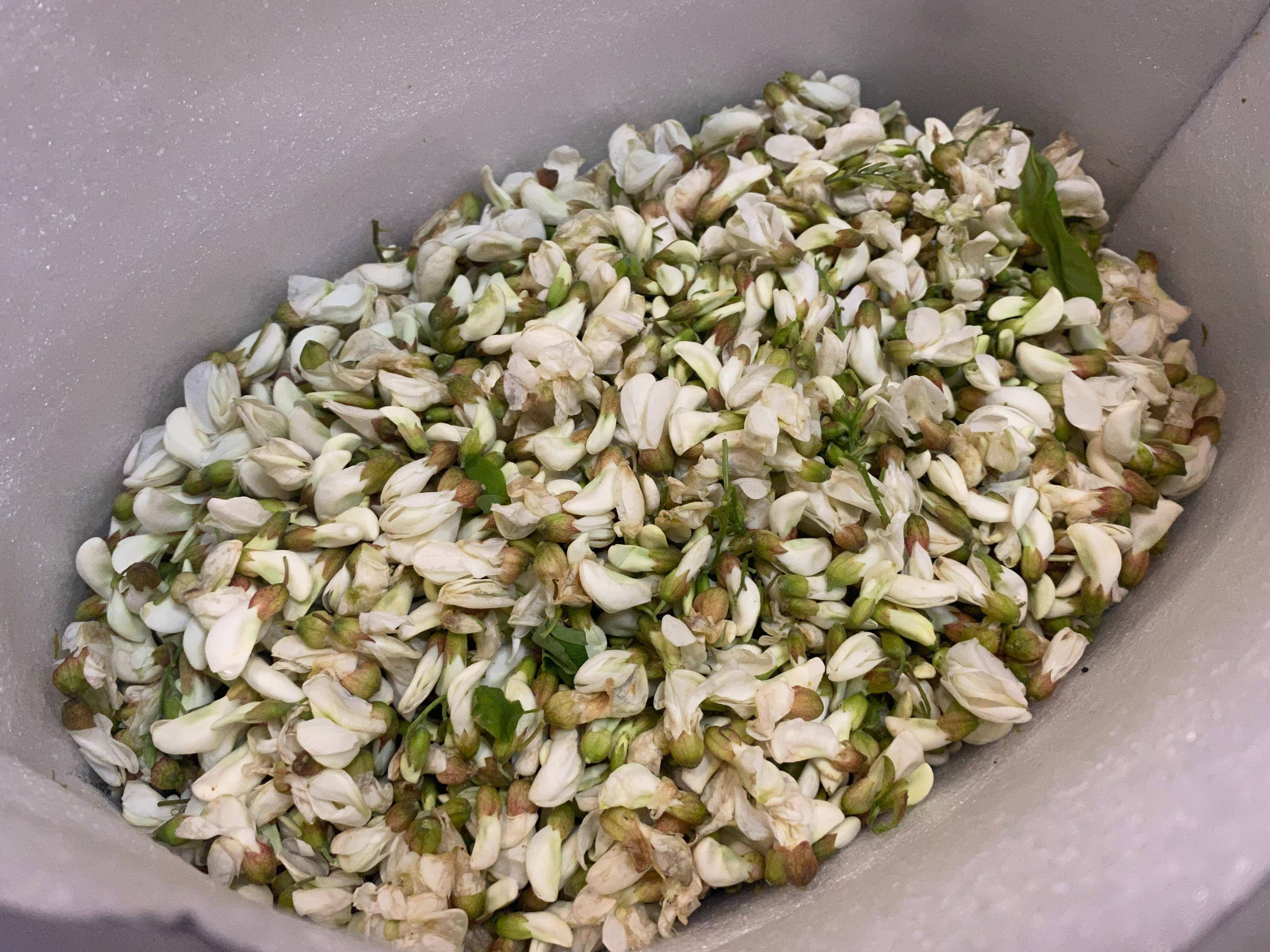 买了2斤槐花吃不完商家教我保存方法一年不坏到冬天还能吃