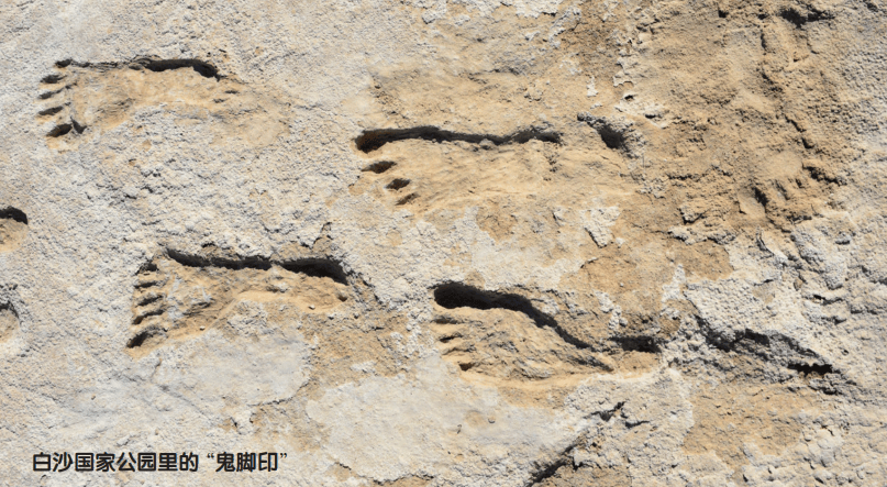 那个消失的编号，比鬼故事还吓人！