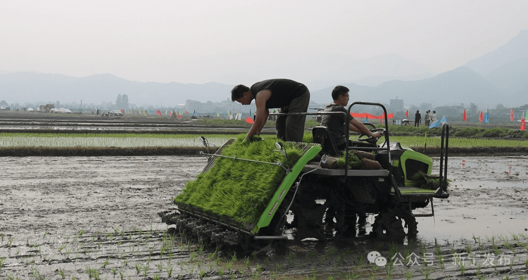 新宁:水田演示机插秧 机械种植助春耕_农机_作业_水稻