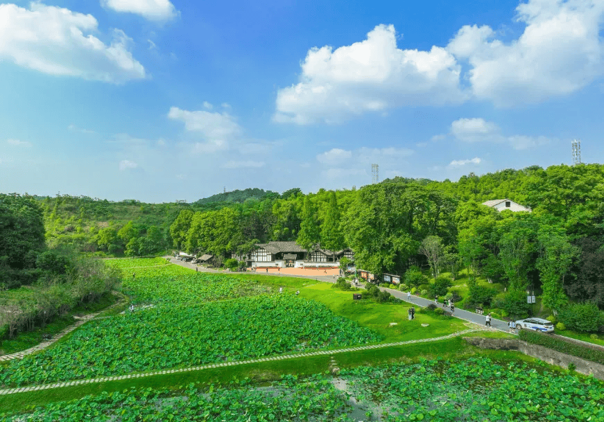 文旅部推荐的这些益阳美景美食,你们去过没?吃过吗?