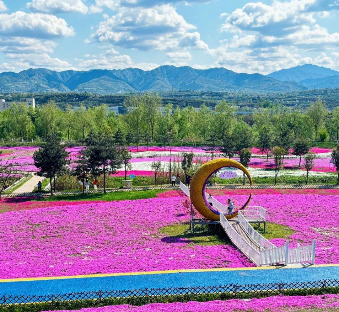 渭河休闲运动公园在陈仓的花海俘获整个春天!