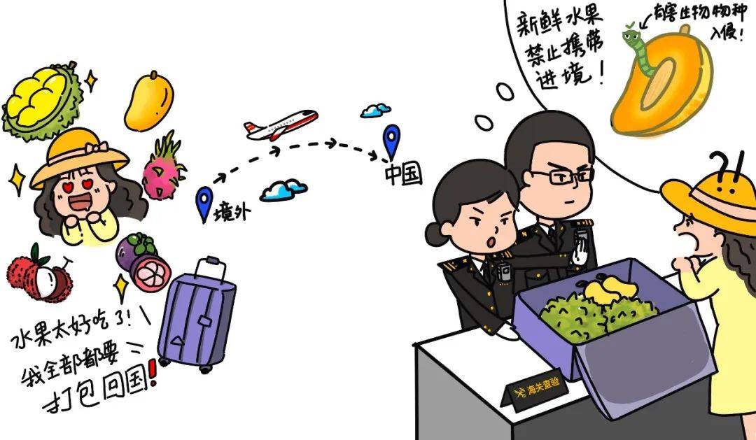 以案说法|国门生物安全与我们息息相关