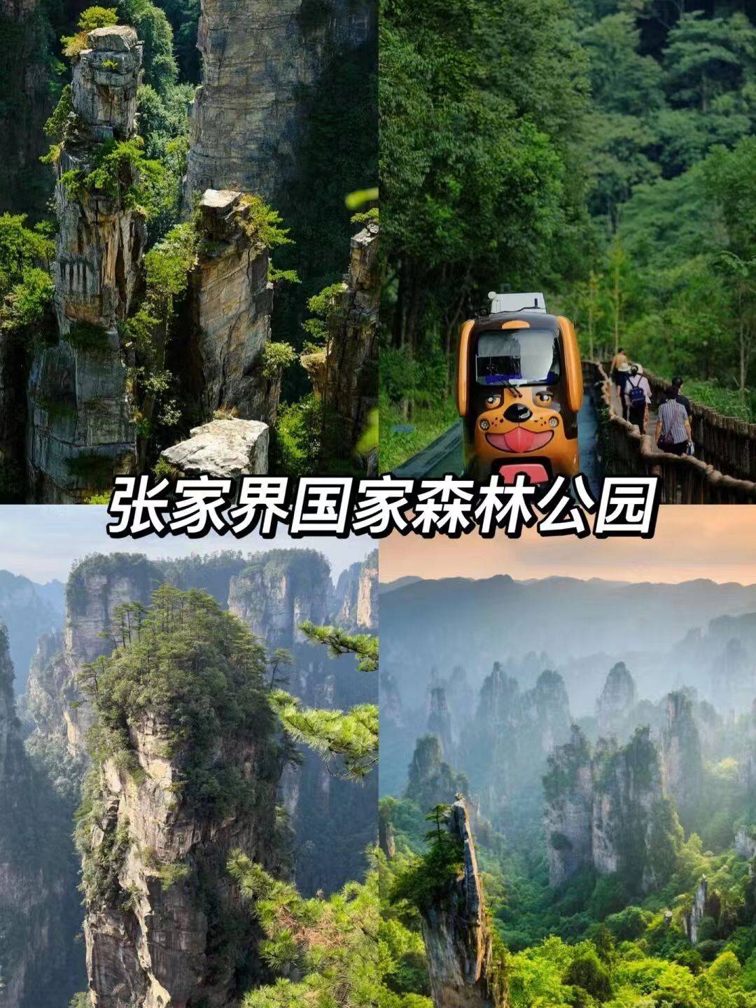 张家界大美武陵源旅游攻略 ,打卡全过程干货_景区_美食_特色