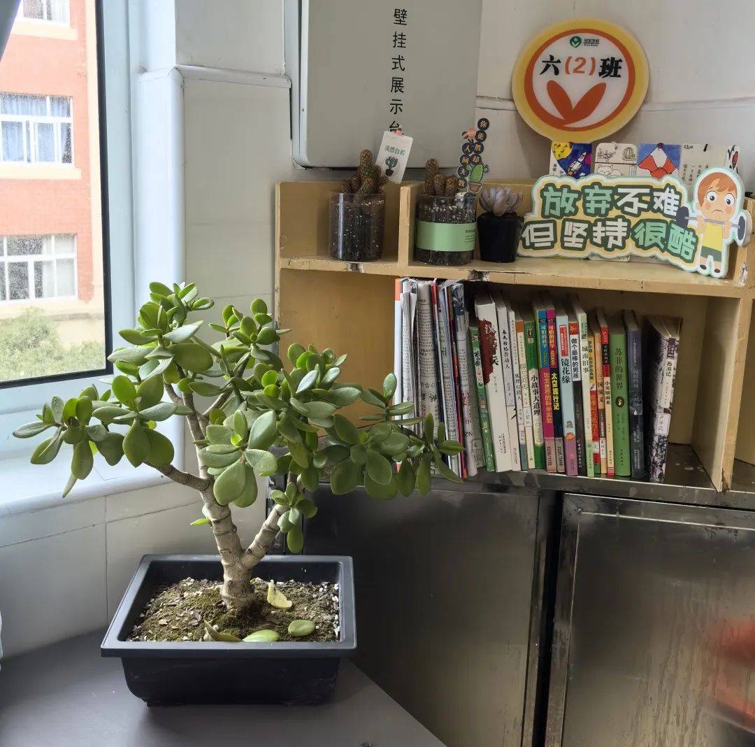 全人教育温馨教室科技创造未来创新点亮校园2023学年第