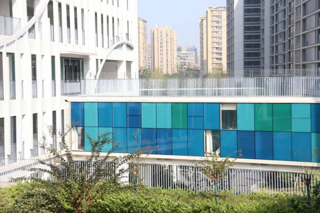 "澎诚中学副校长夏明表示,学校尝试用零碳课程驱动,根植师生的科技