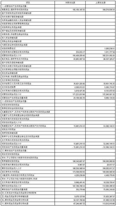 非经常项目_项目管理_非经常项目