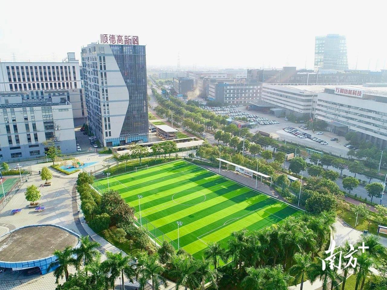 多图前方高燃顺德高新区春季体育联赛开幕