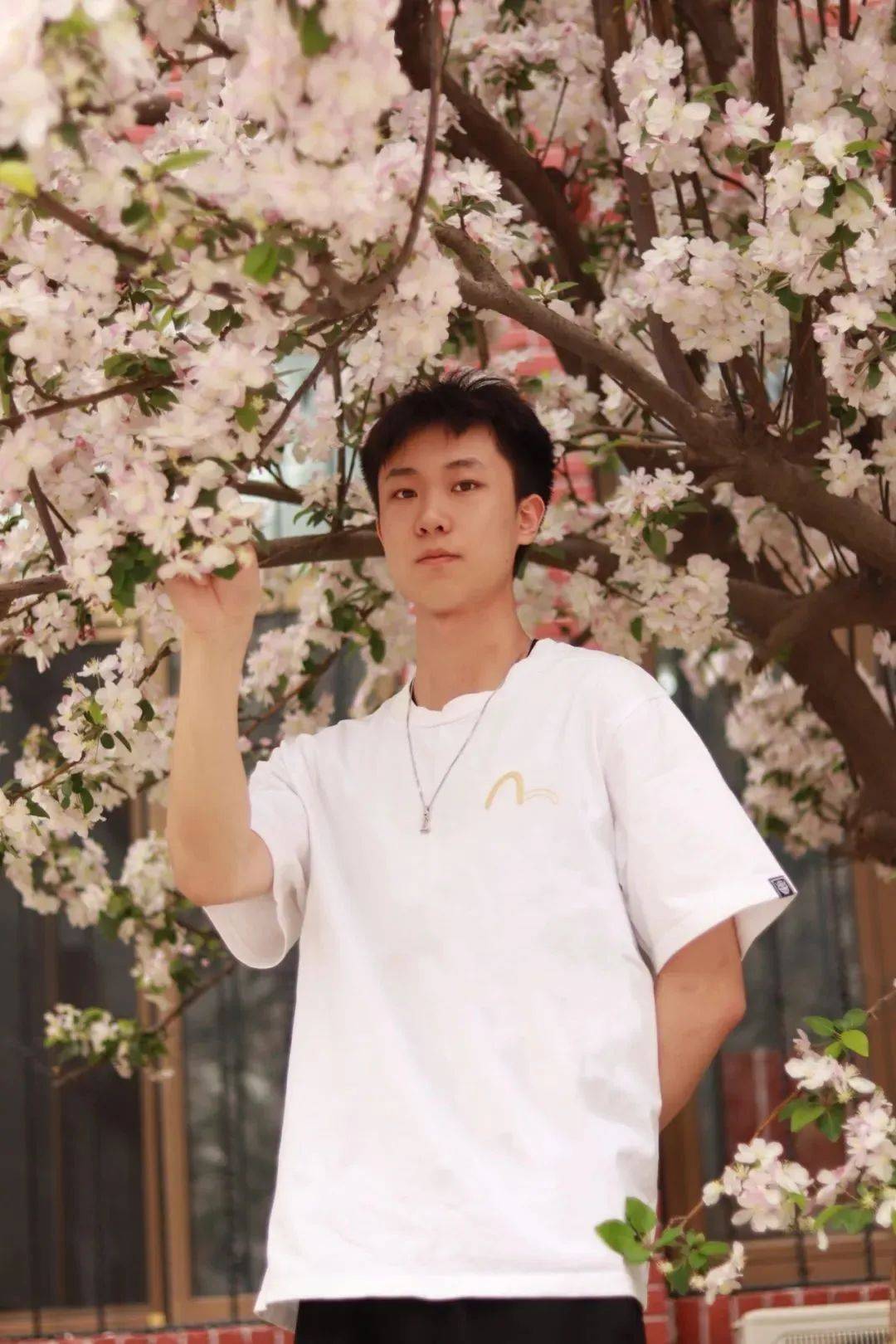 想看看你手机里的天大海棠合影