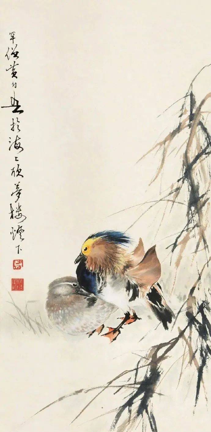 黄幻吾 鸳鸯黄幻吾 鸡黄幻吾 春黄幻吾 荔枝