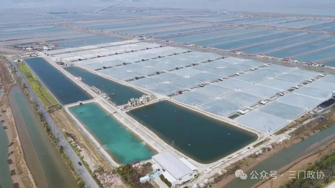 委员风采最美政协人丨李来国破圈而出的养虾高手从新农人成长为兴农人