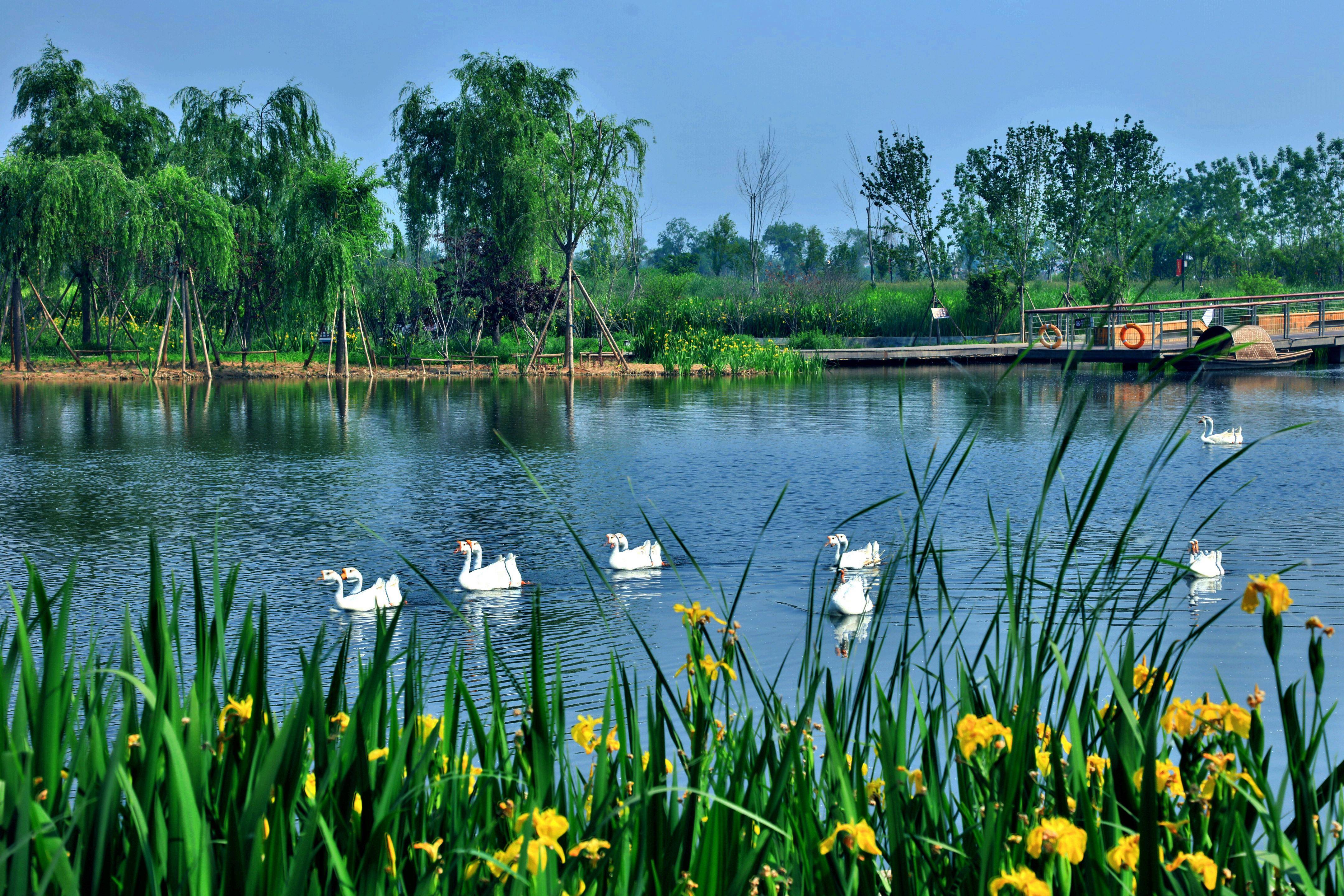 鹤壁覆水亦能收再生润鹤城