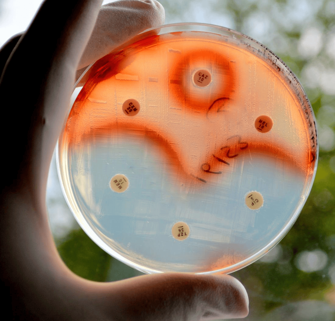 检验科普丨药敏试验助患者精准用药