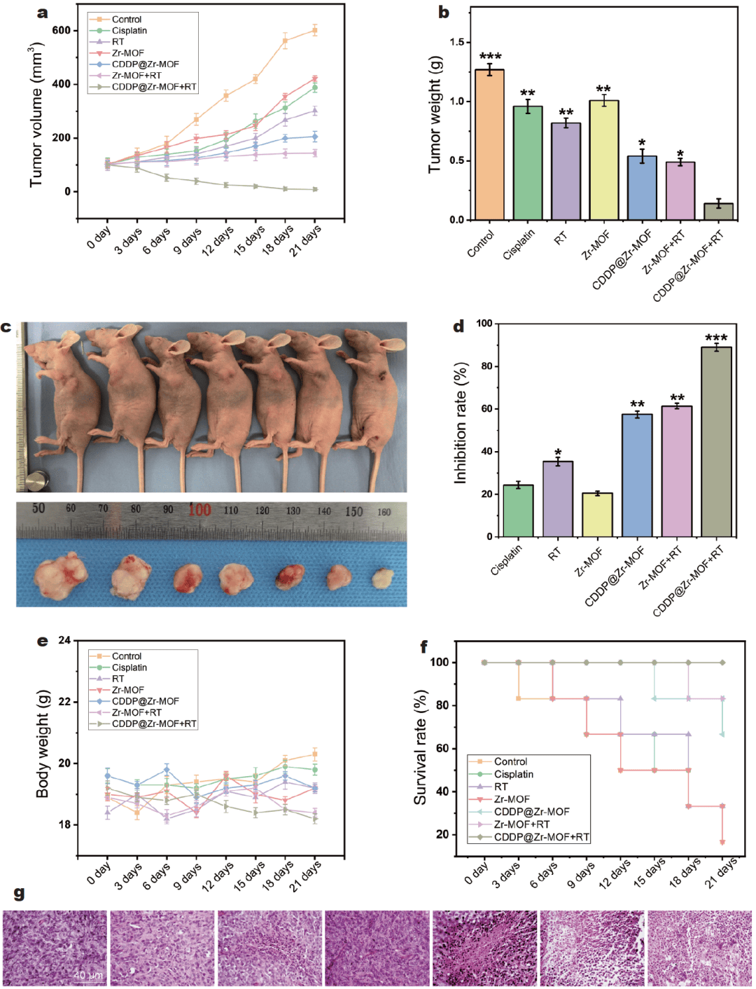 哈医大曲国蕃崔亚利马腾闯等利用金属有机框架抑制pi