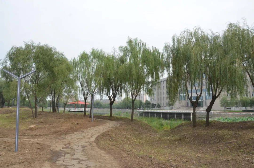欢迎回"家"见证_校园_石化_变化