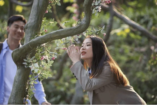 陇南高小林背景图片