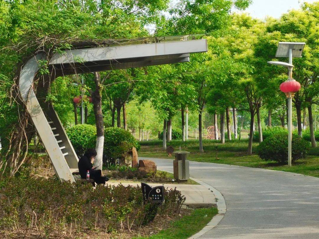 东区这里有好大一片森林~_郑州市_绿色_龙湖