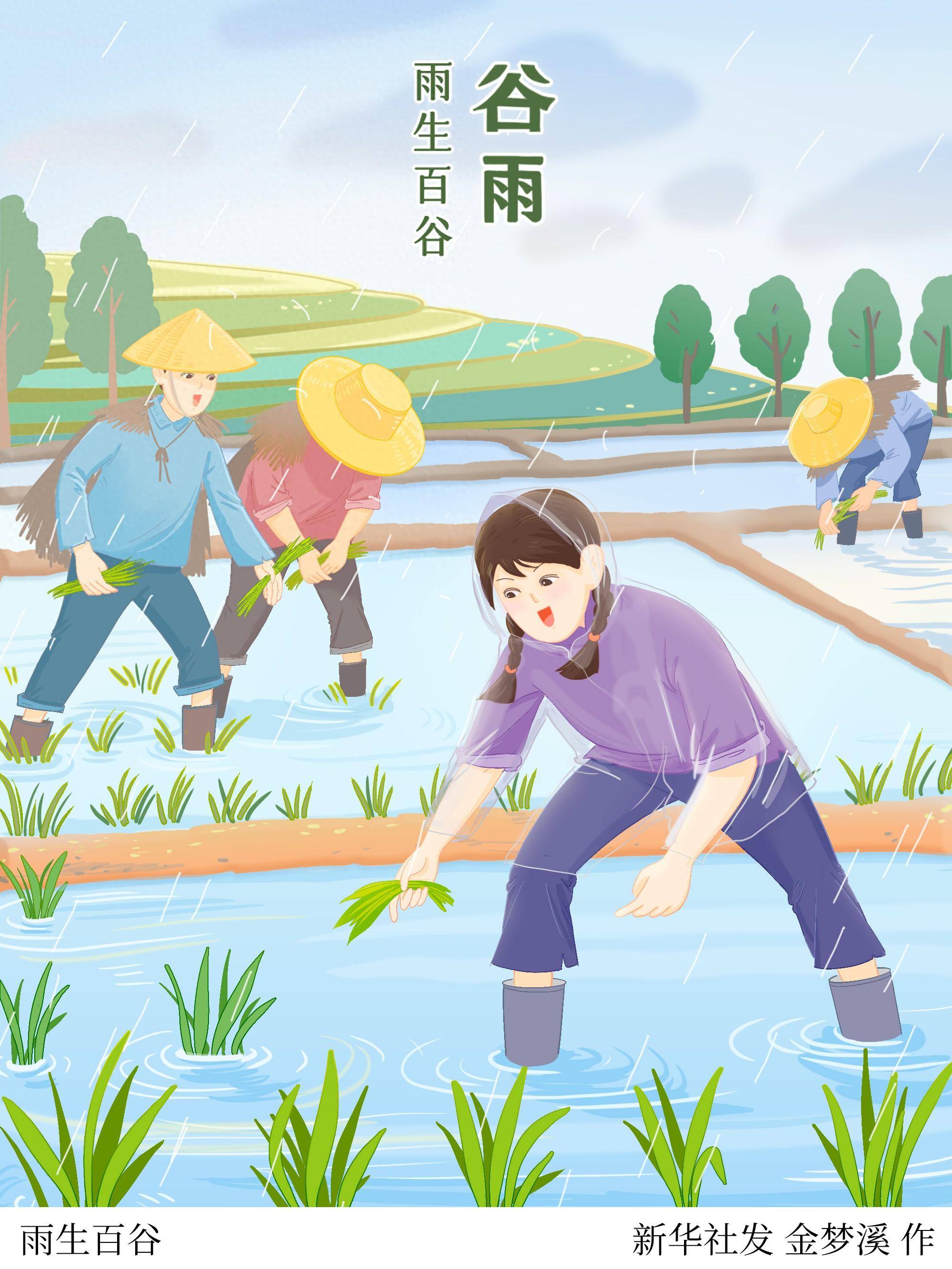 图表插画二十四节气谷雨丨雨生百谷