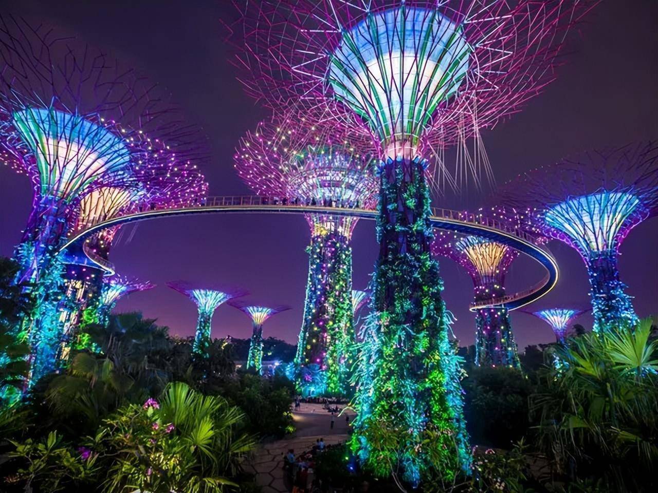 森林城市天花板连机场都是全球醉美