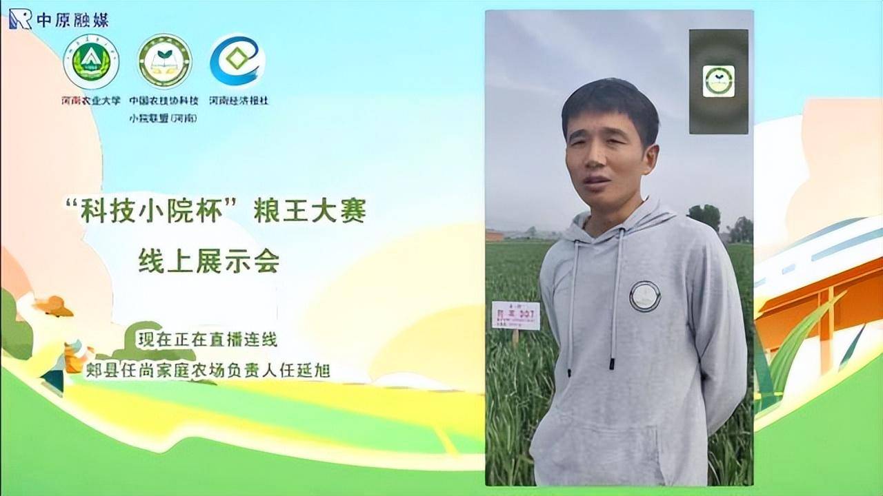 用好科技小院平台护航小麦丰收最后两个月