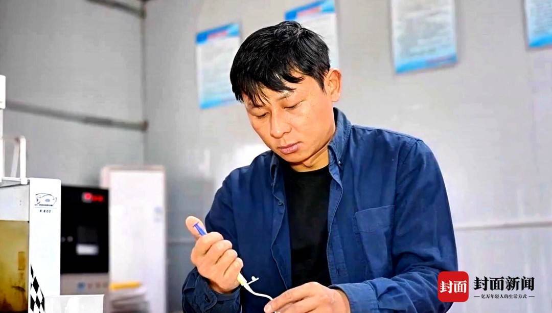 创业者与村支书双向奔赴乡情铸就的鹦鹉养殖产业传奇我们村的年轻人