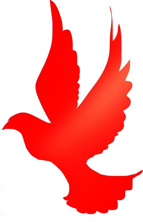 春游江淮请来池州追着春风游石台跟着小红书博主解锁石台新玩法