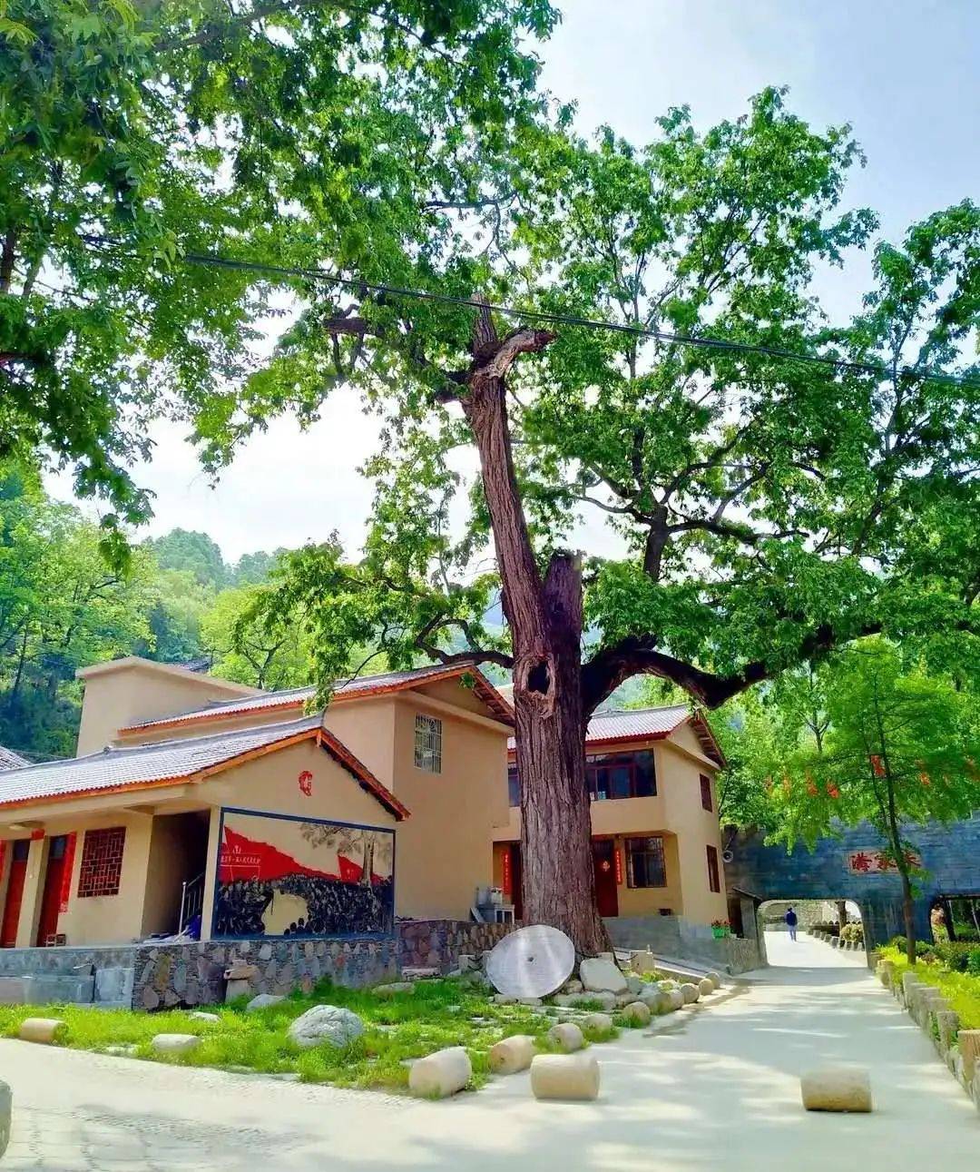 随处可见传统文化符号,村内的古树,古道,古宅,古泉等建筑,成为吸引游