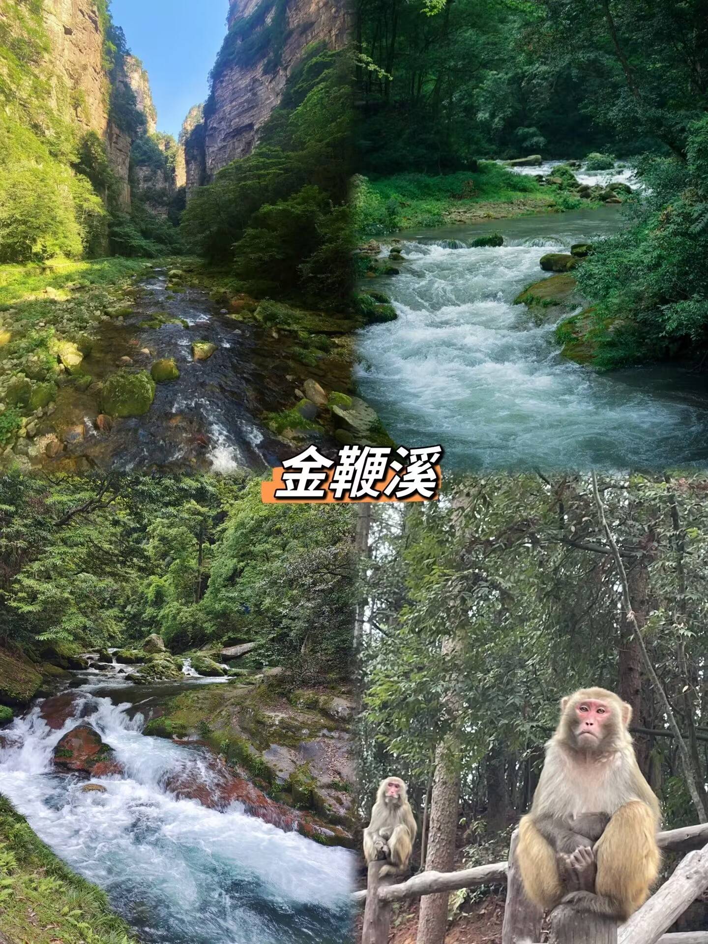 张家界旅游推荐23天游跟团良心建议不踩坑