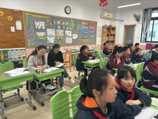 教学视导重知行学科研修助成长记金陵小学迎区教师发展