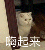 打开微信任意聊天窗>点击表情符号>点击7815>点击77>添加的单个