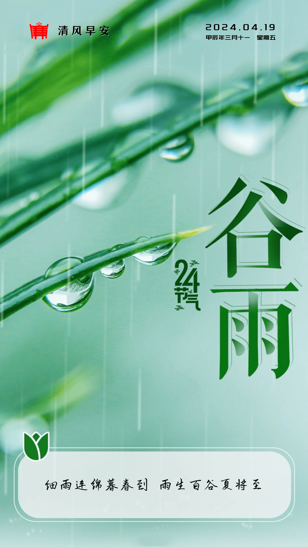 谷雨早安图片图片