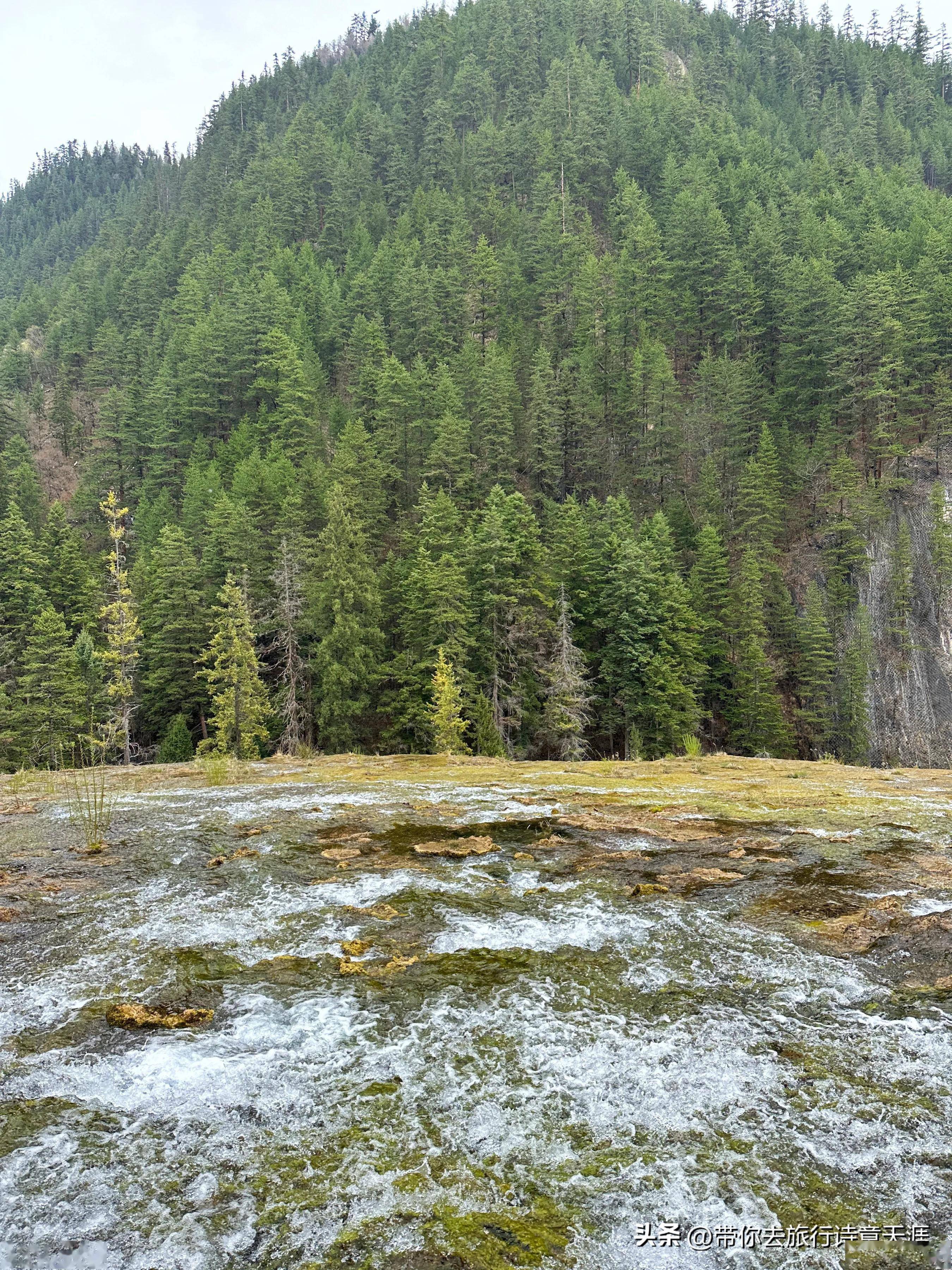 珍珠滩,海拔2450米,滩面宽112米,为碳酸钙沉积而成的大型钙化堆积台地