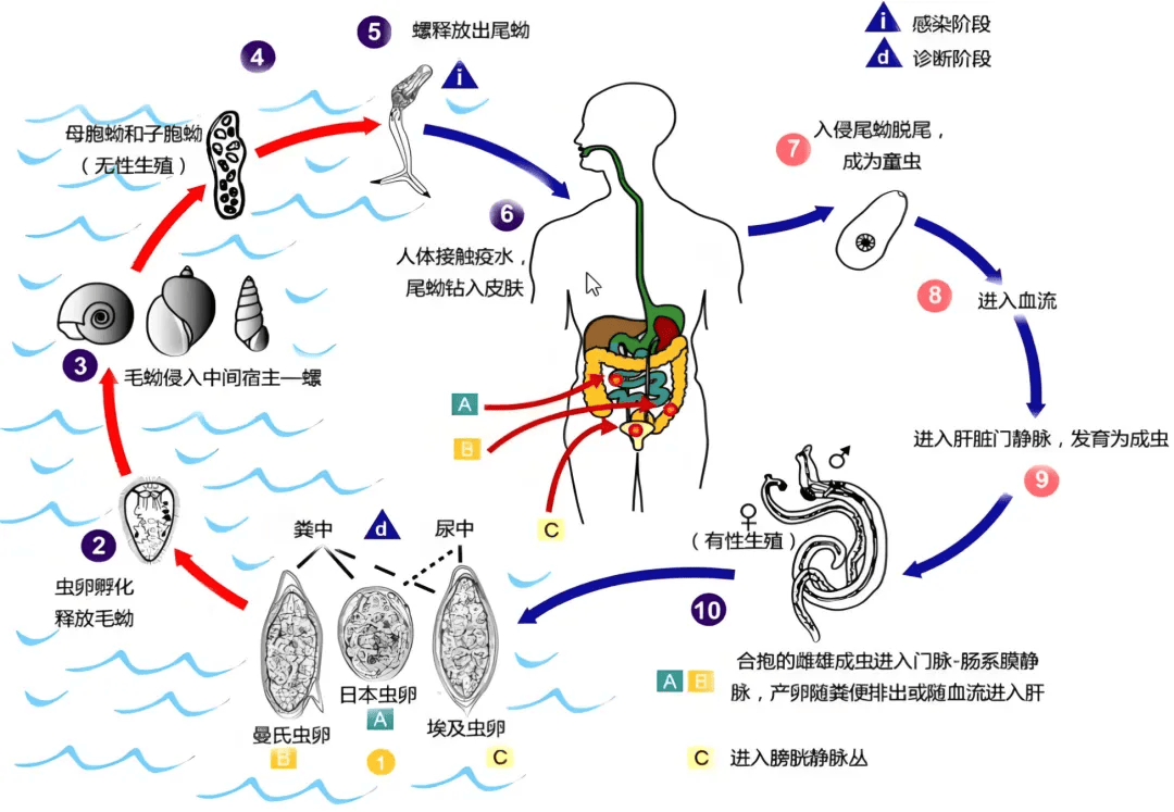 中疾控接连提醒接触10秒即可感染近期高发