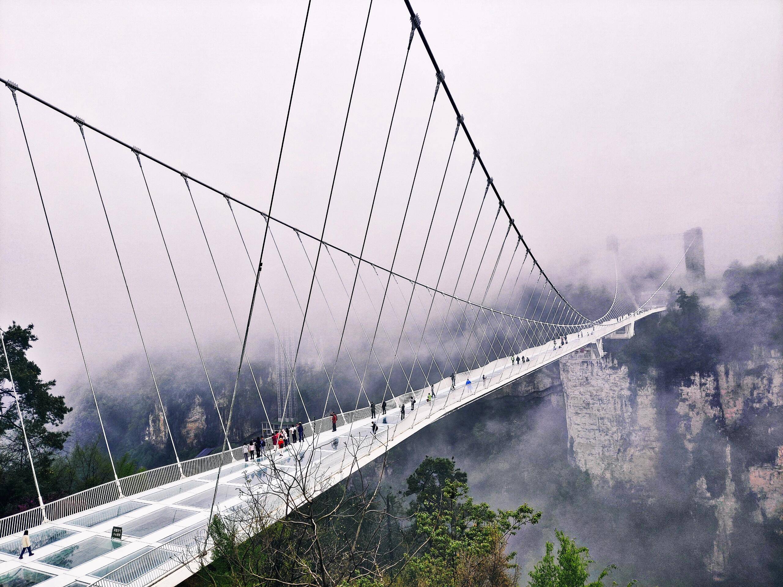 阳新去湖南张家界旅游团 ,这篇攻略旅游攻略,一定要收好了