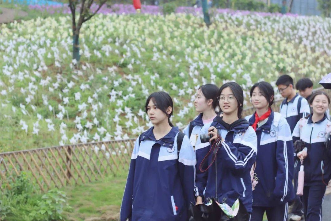 西湖伢儿"趣"春游_幼儿园_公园_小学