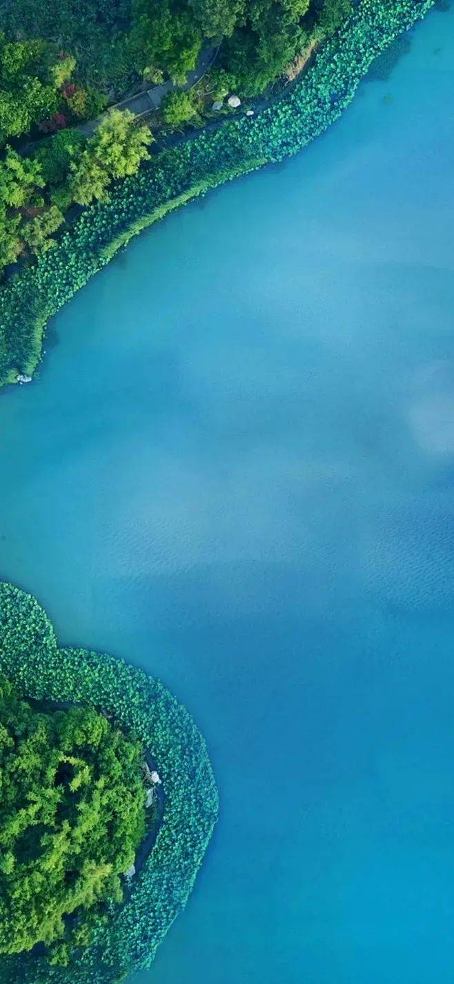 壁纸 风景 摄影 桌面 658_1425 竖版 竖屏 手机