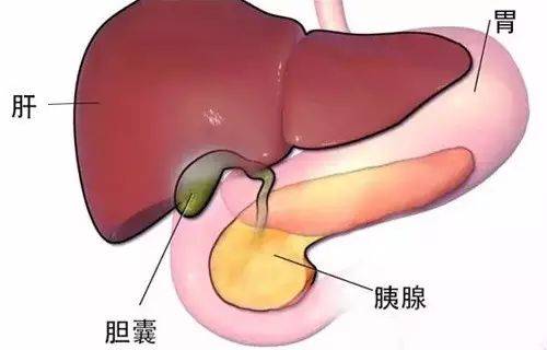 肝胆不好,百病缠身!春天用这招疏通肝胆,心情好,睡眠好