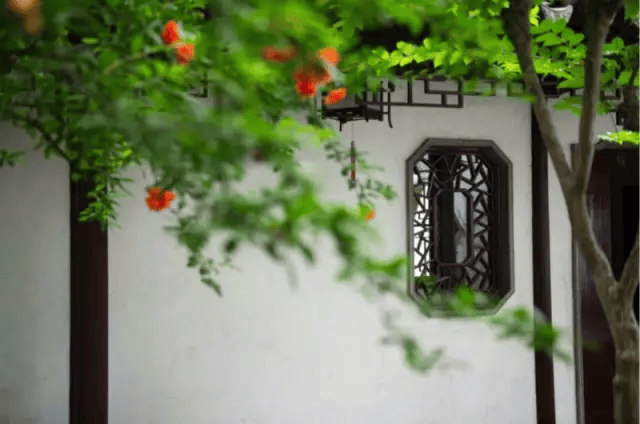 谷雨丨沐一场人间春色听一曲雨落情长